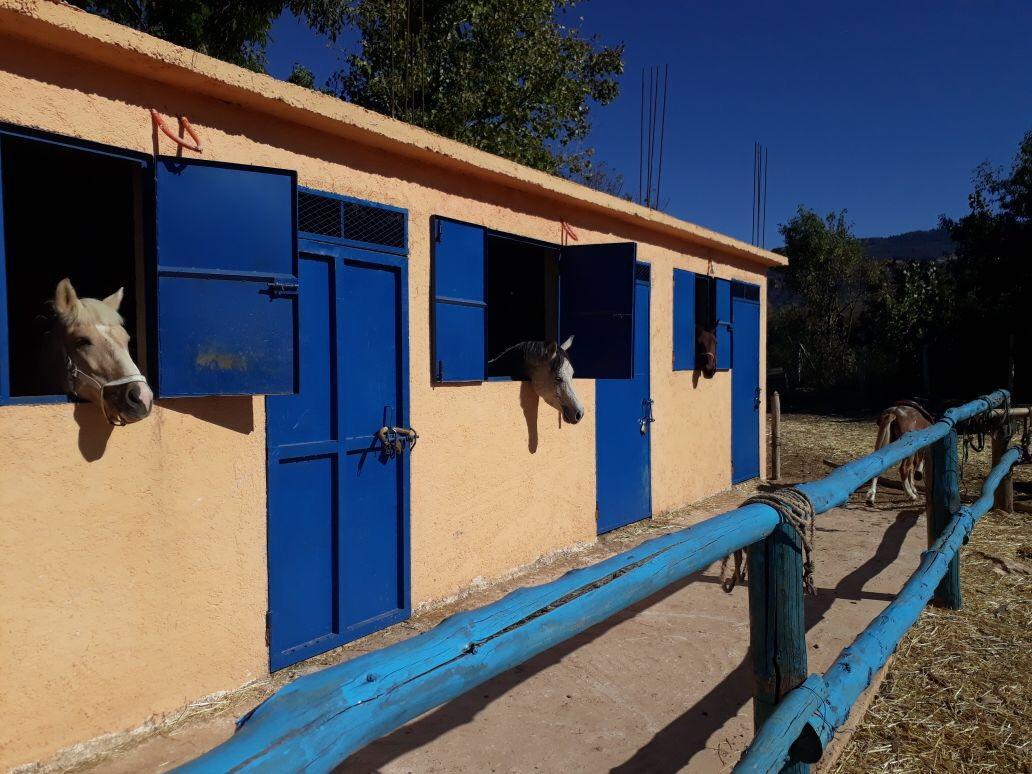 Le Vallon Vert - Club Equestre Azrou Exterior photo